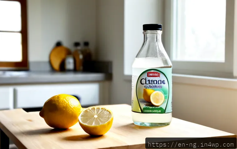 가정에서 사용하는 친환경 세제 만들기 - Photorealistic bright home kitchen countertop scene, clear glass spray bottle filled with pale homem...
